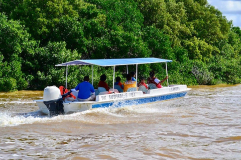 From Merida: Celestún biosphere, boat ride, and Beach day Celestún biosphere, boat ride, mangroves and beach day