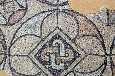 Domus Tappeti di Pietra Entry Ticket