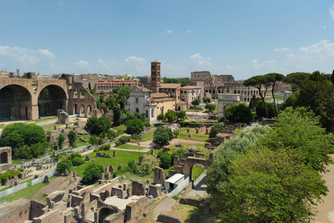 Rome: Colosseum & Roman Forum Guided Tour Colosseum & Roman Forum Small Group Guided Tour in Spanish