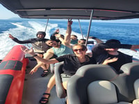 From Split, Blue Cave, Hvar, 5 Islands Speedboat Tour - Housity