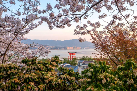 Osaka/Kyoto: Hiroshima&Miyajima Private Tour Luxury Vehicle