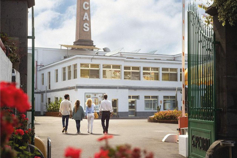 Visite guidée de la distillerie Ron ArehucasVisite guidée en allemand