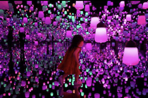 Tokyo: Private City Tour with Tokyo TeamLab Planets.