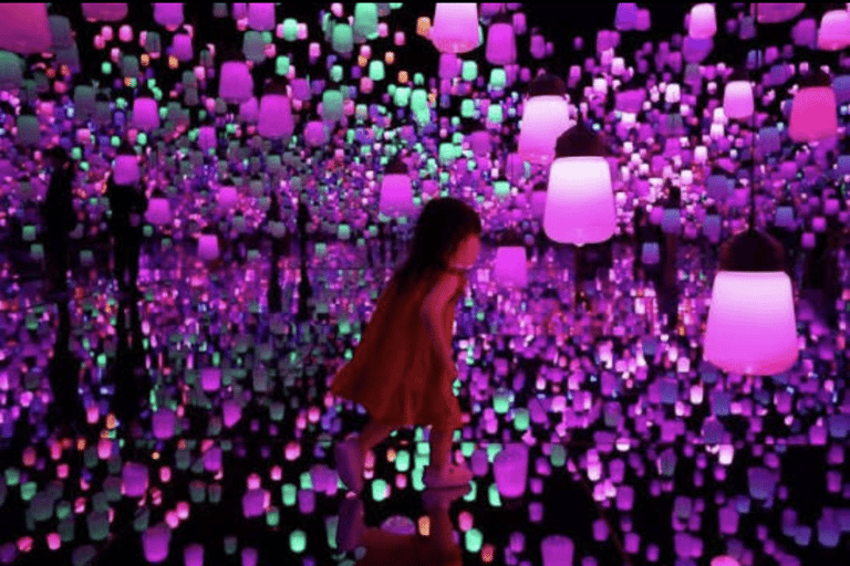 Tokyo: Private City Tour with Tokyo TeamLab Planets.