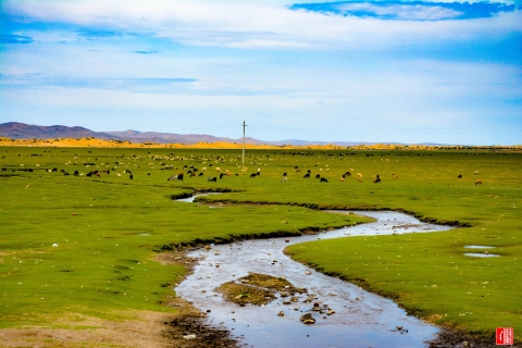 Mongolei: 11-tägige Tour mit Wüste Gobi und Naadam-Festival