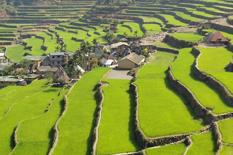 Banaue Rice Terraces and Sagada Tour
