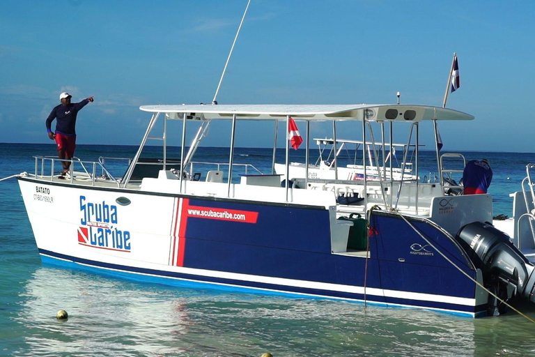 Ekskluzywna wycieczka na wyspę Catalina z transportem i obiadem w cenie