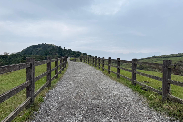 Taipei: tour guidato di Yangmingshan, Museo del Palazzo e Raohe