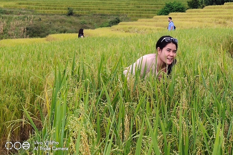 Amazing rice-fields terraces of Ban Pa Pong Pieng. (Private)