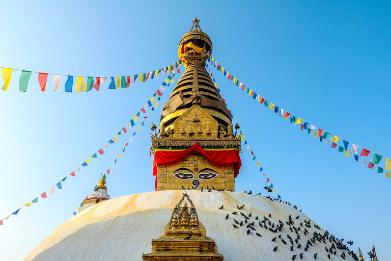 Absolute Tour of Kathmandu: 2 Days, Zero Missed Heritage