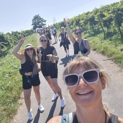 Visit Rüdesheim am Rhein wine hike and sights in Rüdesheim, Germany