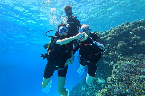 HRG: Orange Bay Island with Snorkeling, Lunch and Drinks Private Transportation + Full package