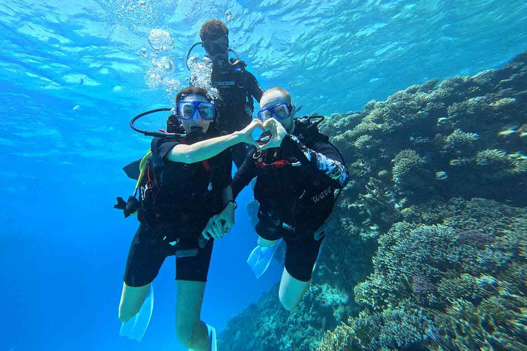 HRG: Orange Bay Island with Snorkeling, Lunch and Drinks Private Transportation + Full package
