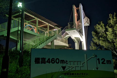 Osaka : visite nocturne du mont Ikoma avec la ligne d'horizon