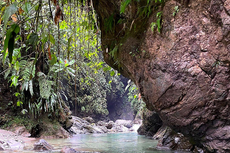 Cali: Pacific Jungle Trek to Hidden Pools & La Sirena Falls