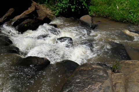 Lushoto: Soni Falls and Usambara Mountains Day Trip