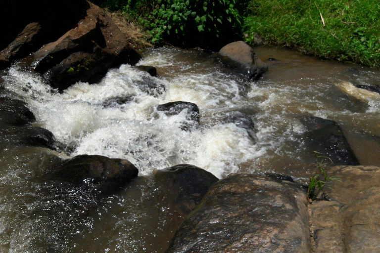Lushoto: Soni Falls and Usambara Mountains Day Trip