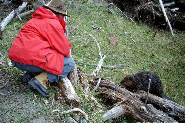 Ushuaia: Adventure and Fueguina Fauna with Animal Encounter of Your Choice Ushuaia: Adventure and Fueguina Fauna with Animal Encounter - Huskie Walk-