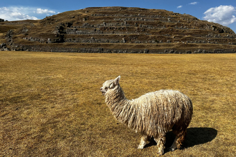 From Cusco: Tour to Sacsayhuaman, Tambomachay, Q'enqo and Puca Pucara. Shared Tour