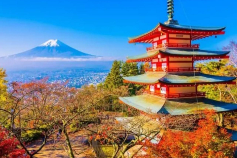 Tokyo: Mount Fuji and Hakone Hidden Gems Tour