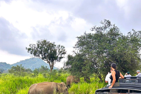 Sigiriya: Rock Fortress, Village Tour, and Jeep Safari