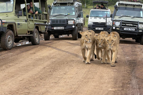Nairobi National Park Half-Day Safari – Wildlife Game Drive