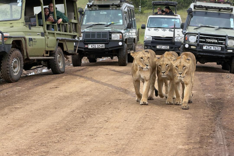 Nairobi National Park Half-Day Safari – Wildlife Game Drive