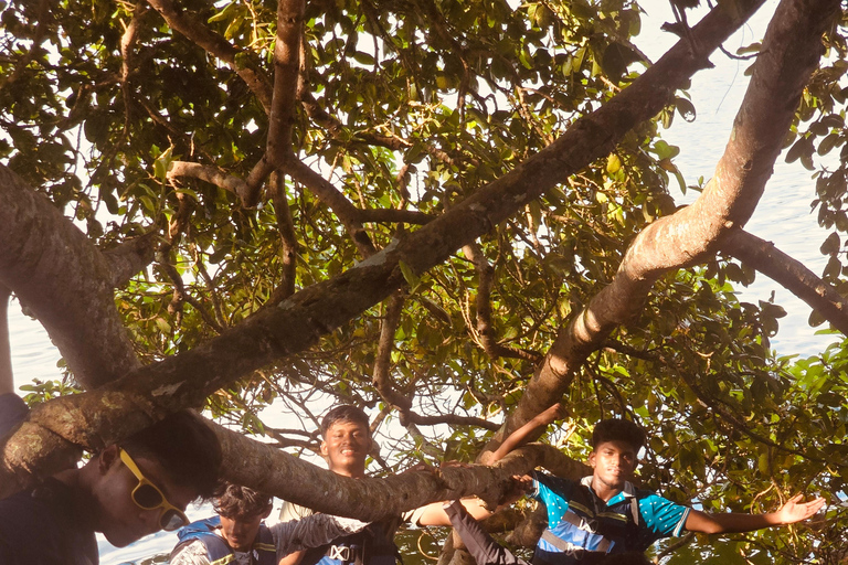 Hikkaduwa: Geführte Kajaktour durch die Rathgama-Lagune