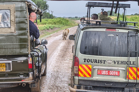 Kigali: Akagera National Park Safari with Boat Cruise