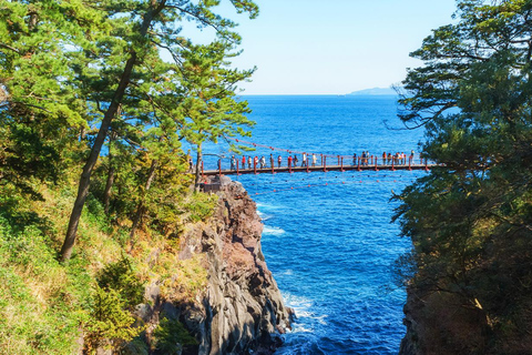 Specjalna wycieczka Kawazu Sakura Strawberry Hot Spring Day TourMiejsce zbiórki na dworcu w Tokio + japoński lunch w hotelu Onsen