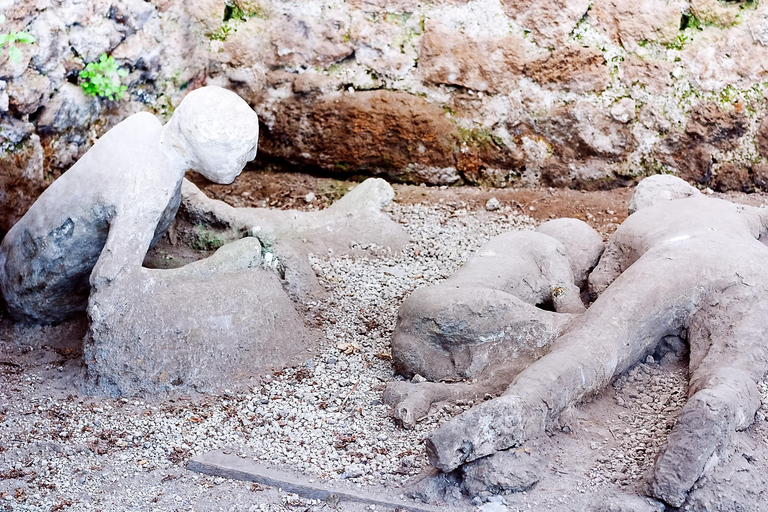 Da Napoli: Trasferimento di sola andata a Sorrento con tour di PompeiTrasferimento da Napoli a Sorrento con Tour Guidato a Pompei