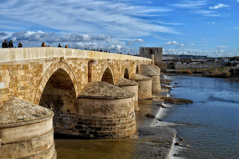 Desde Sevilla: Excursión de un día a Córdoba con visita guiada