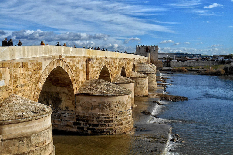 Von Sevilla aus: Córdoba Tagestour mit Guided Tour