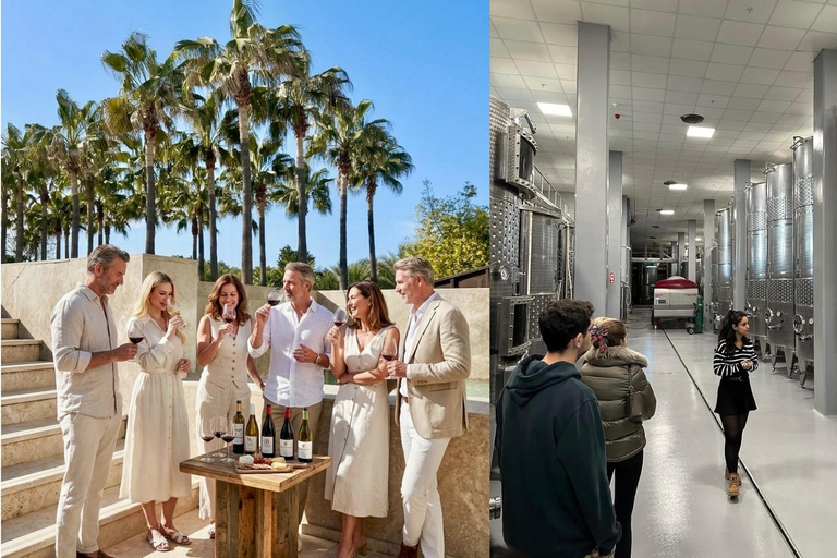 Izmir: Urla Wine Tasting and Vineyard Tour Self Arrival Tasting and Vineyard Tour