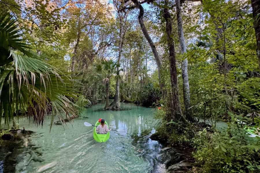 Florida: Rock Springs Run Kajak-Abenteuer. Foto: GetYourGuide