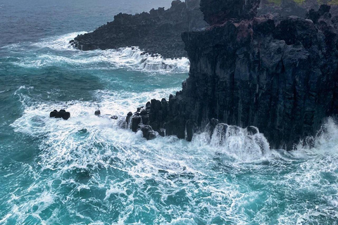 EAST JEJU: Tour particular com tudo incluído e colheita de tangerinas