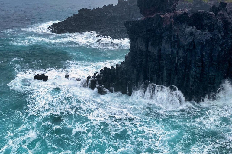 EAST JEJU: Tour particular com tudo incluído e colheita de tangerinas