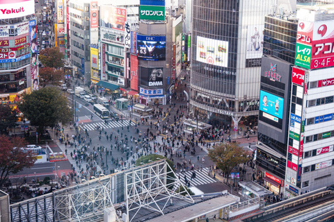Shibuya Walking Tour with Local Guide