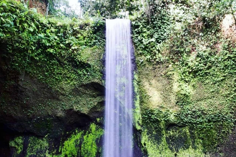 Bali: Excursión a Tegenungan, Kanto Lampo y la Cascada de Tibumana