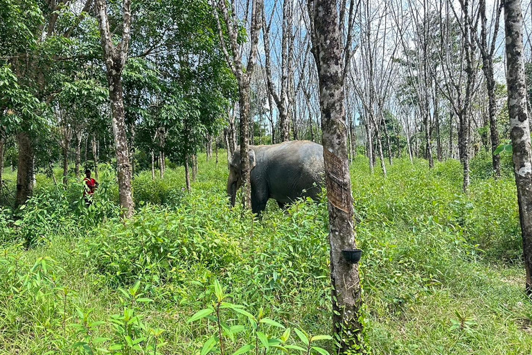 Khaolak Hightlight Tour z przewodnikiem Eco Adventure