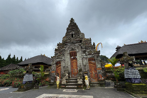 Bali: Shore Excursion Cruise Ship From Celukan Bawang Port Customize Your Own Itinerary (Not Include Entrance Tickets)