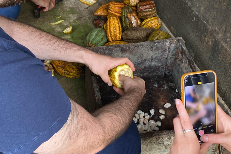 Medellín: Visita a una granja de cacao y elaboración de chocolate, cerca de la ciudadVisita compartida