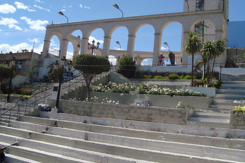 Tour em Arequipa + Mundo da Alpaca
