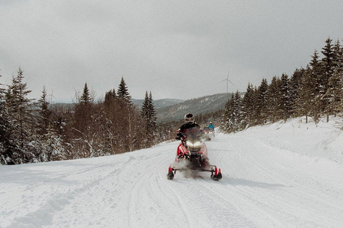 Explore the depths of the Canadian forest in Snowmobile