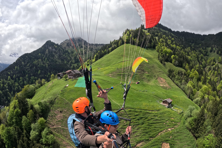 Lucerne: all incl. paragliding / cable car / pics / 4k-video