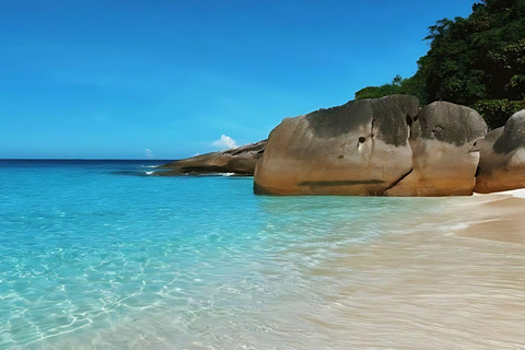 Phuket/Khao Lak: Discover Similan Island with 3 Meals