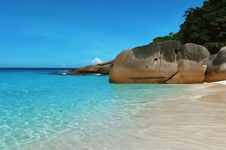 Phuket/Khao Lak: Discover Similan Island with 3 Meals