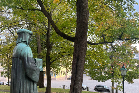 Privat Turku mit dem Auto von Helsinki aus: Dom &amp; Schloss