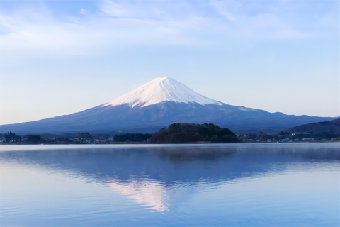 Tokio: Excursión de un día al monte Fuji y al lago Kawaguchiko digna de Instagram