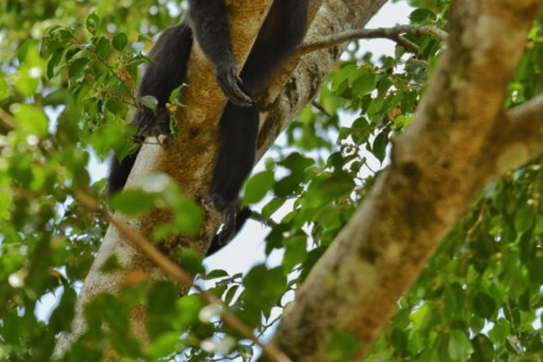 San Cristóbal: Passeio de caiaque de 3 dias na Selva LacandonaCabina com casa de banho partilhada